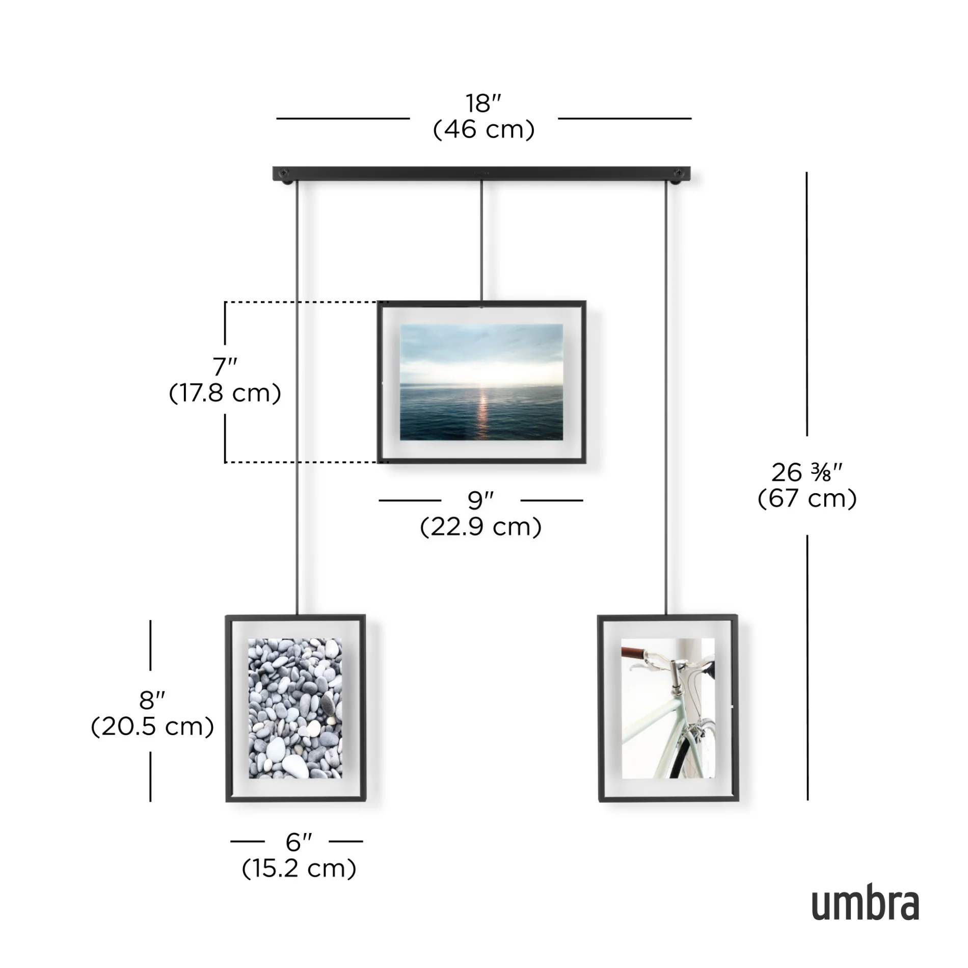 Exhibit Wall Picture Frames, Set Of 3 - Image 7